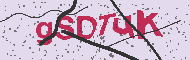 Code captcha
